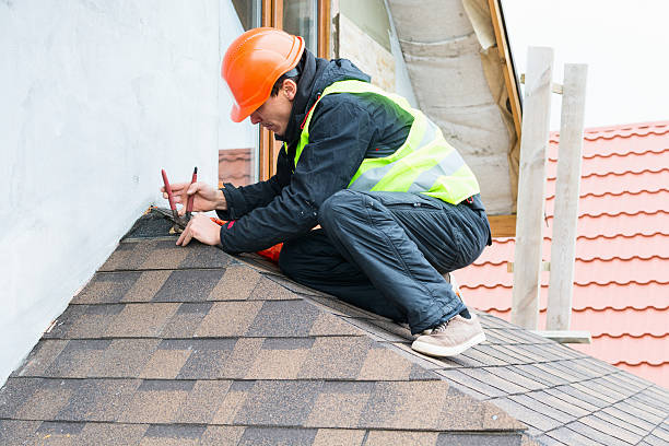 Best Residential Roofing Contractor  in Skagway, AK