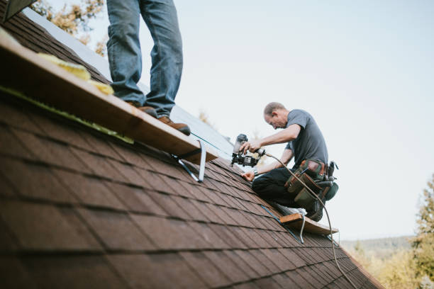 Best Shingle Roofing Installation  in Skagway, AK