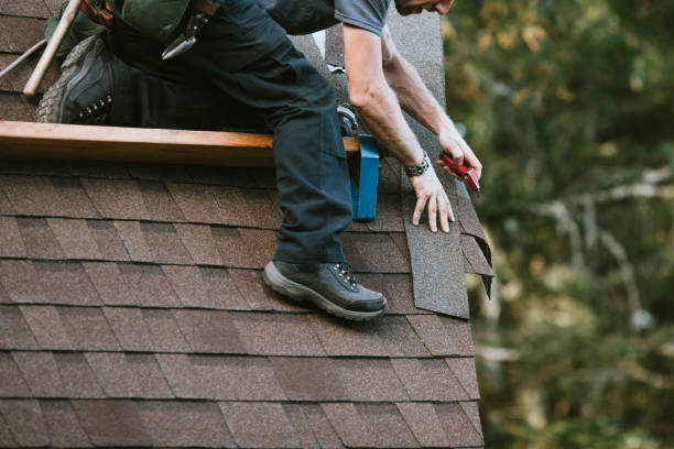 Best Roof Leak Repair  in Skagway, AK