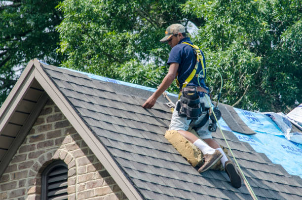 Best Storm Damage Roof Repair  in Skagway, AK