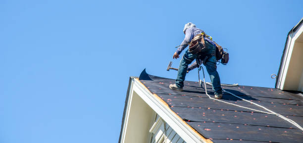 Best Roof Gutter Cleaning  in Skagway, AK